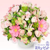 アルストロメリアのアレンジメント【4,000円+税】511277 アルストロメリアのアレンジメント【4,000円+税】511277