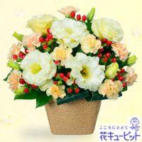 トルコキキョウのアレンジメント【3,000円+税】511562