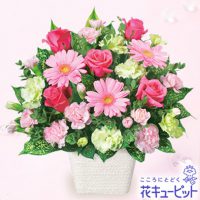 ピンクガーベラのアレンジメント【4,000円+税】511570