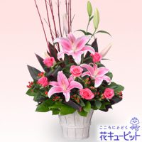 ピンクユリのアレンジメント【8,000円+税】511580 ピンクユリのアレンジメント【8,000円+税】511580