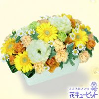 ビタミンカラーのお花が賑やかなアレンジメント【5,000円+税】511746