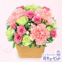 ピンクアレンジメント【3,000円+税】511751