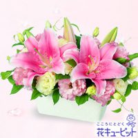 ピンクユリのアレンジメント【5,000円+税】511757 ピンクユリのアレンジメント【5,000円+税】511757