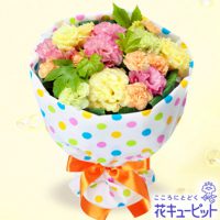 トルコキキョウの花キューピットブーケ(カラフルドット)【3,000円+税】511765 トルコキキョウの花キューピットブーケ(カラフルドット)【3,000円+税】511765