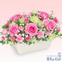 ピンクバラのオールラウンドアレンジメント【5,000円+税】511779