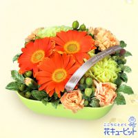 オレンジガーベラのアレンジメント【3,000円+税】511801