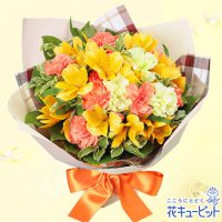 花キューピットブーケ（チェック）【3,000円+税】511842