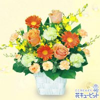 オレンジバラのスクエアバスケット【5,000円+税】511898