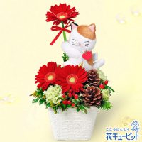 三毛猫のマスコット付きアレンジメント【3,500円+税】511903