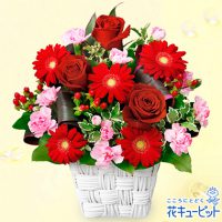 赤バラと赤ガーベラのスクエアバスケット【5,000円+税】511904