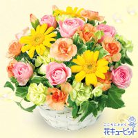 イエローオレンジバスケット【3,000円+税】613003 イエローオレンジバスケット【3,000円+税】613003