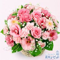 ピンクアレンジメント【5,000円+税】613009