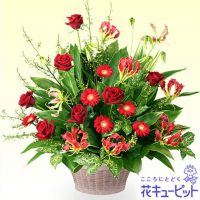 赤のアレンジメント【10,000円+税】613064