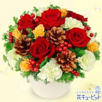 赤バラのウィンターアレンジメント【4,000円+税】511087 赤バラのウィンターアレンジメント【4,000円+税】511087