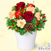 赤バラのウィンターアレンジメント【3,000円+税】511919