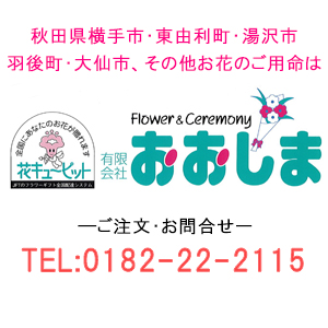 有限会社おおしま